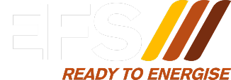 EFS Logo